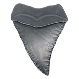 Jaws Medallion 50th Anniversary Shark Tooth