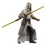 Star Wars: The Clone Wars Black Series Action Figure Jedi Temple Guard 15 cm