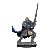 D&D Nolzur's Marvelous Miniatures Unpainted Miniatures Half-Orc Paladin Male Case (2)