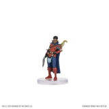 Dungeons & Dragons Heroes of Hellfire Stranger Things 